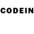 Галлюциногенные грибы мицелий Rod Gatlin