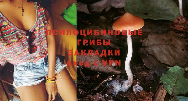 герыч Коряжма
